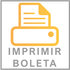Imprime tu boleta