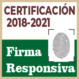 Firma de Responsiva